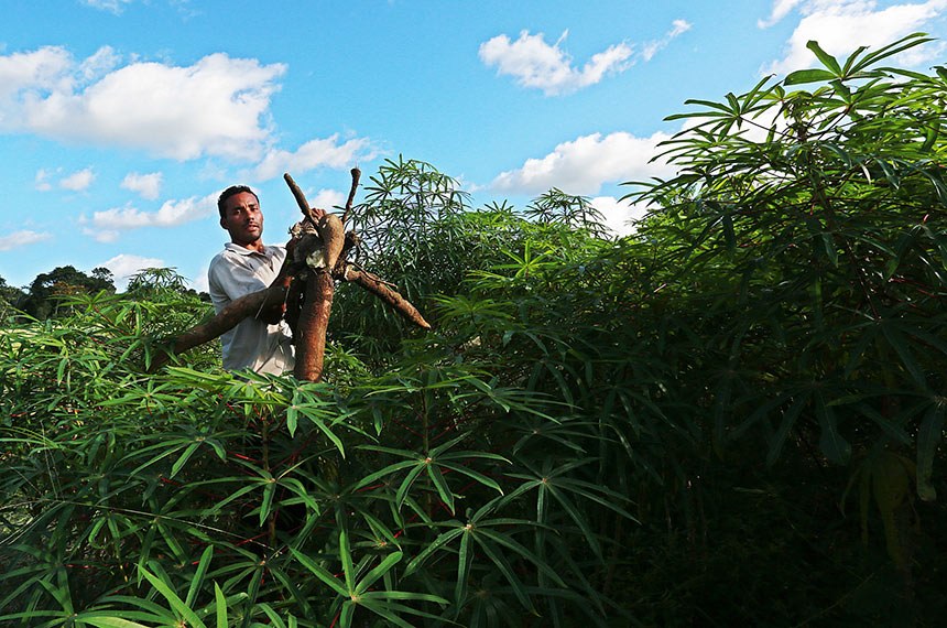 Programa de amparo a agricultores familiares será debatido em audiência