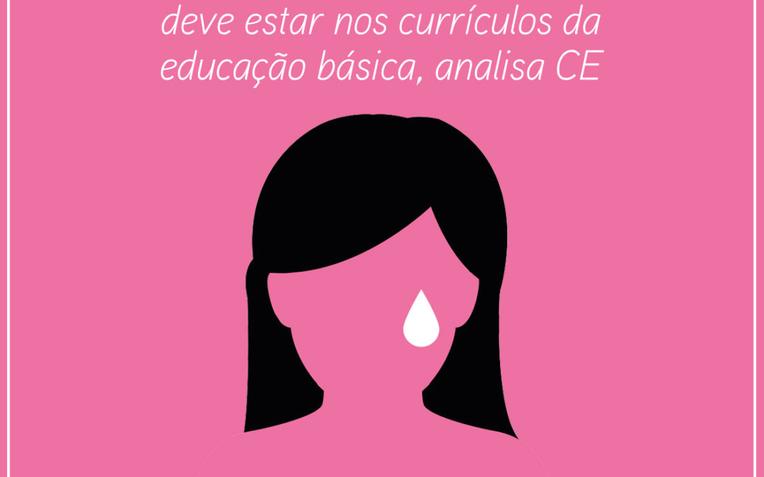 Combate à violência contra a mulher deve estar nos currículos da educação básica, analisa CE