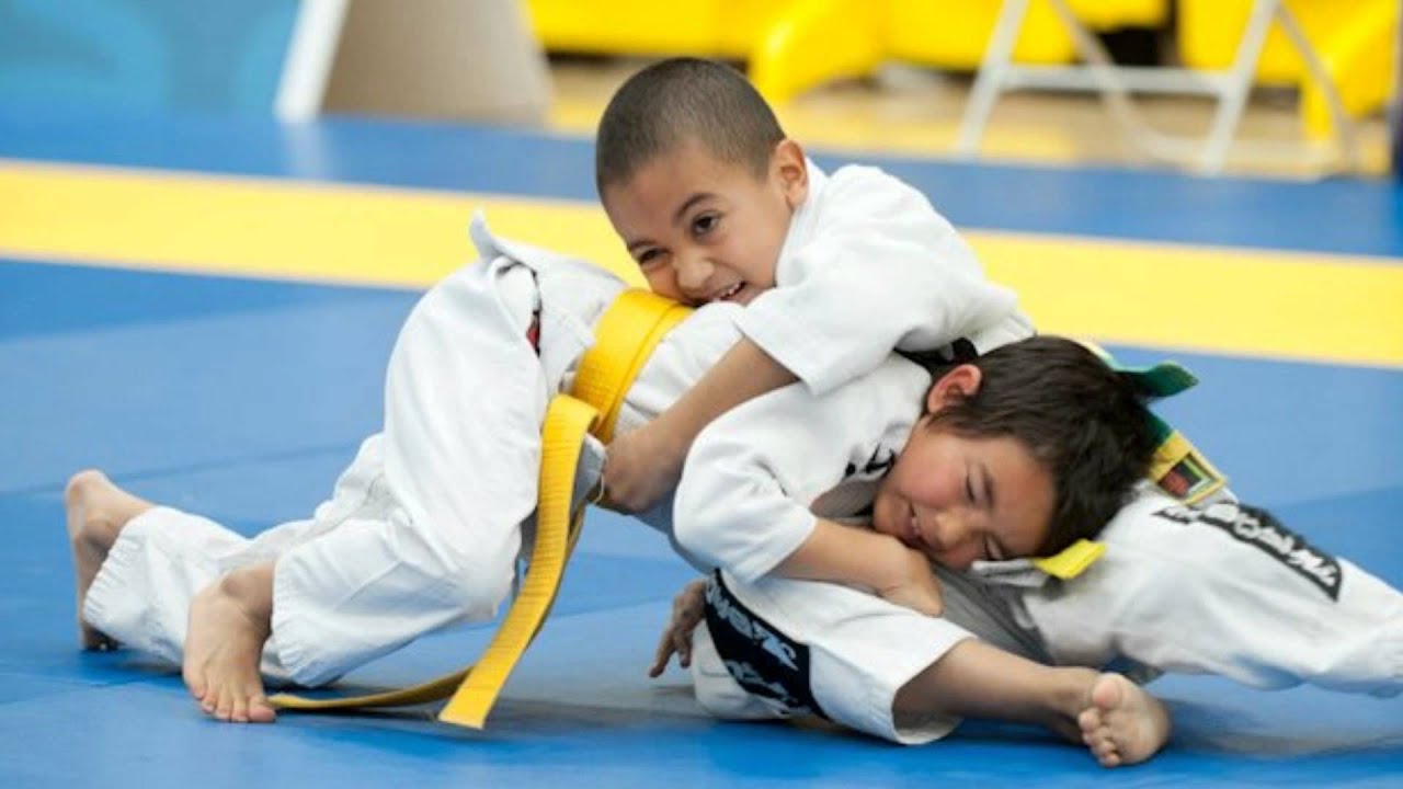 Comissão de Educação debate se jiujítsu deve fazer parte do ensino