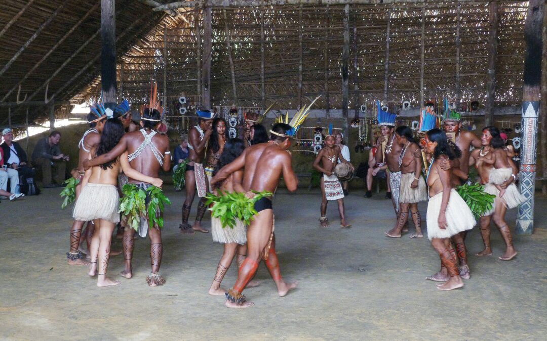 Senadores apresentam projetos para derrubar normas da Funai