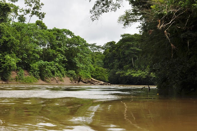 Liberada licença prévia do projeto de exploração de potássio em Autazes (AM)