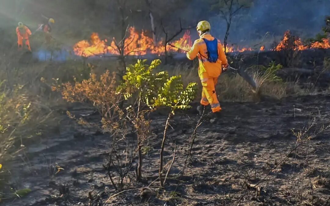 Brigadista que atuava em prevenção de incêndio terá direito a adicional de periculosidade